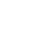 DPM