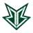 Team Icon
