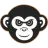 Team Icon