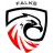 Team Icon