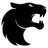 Team Icon
