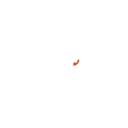 G2