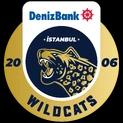 Istanbul Wildcats