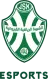 Team Icon