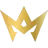 Team Icon