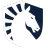 Team Icon