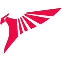 T1