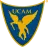 Team Icon