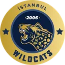 Istanbul Wildcats
