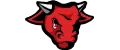 Young Buffalo
