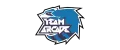 Team Arcade