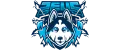 Zeu5 Gaming
