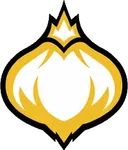 Onion Team