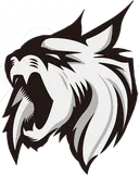 Midnight Sun Esports