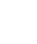 BRUTE