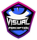 Visual Perception