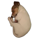 Gmae