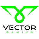 Vector Gaming