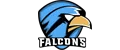 ToxicFalcons eSports