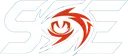 Silent Storm Esports