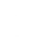 Shark Attack