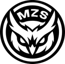 Mezexis Esports