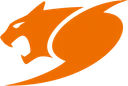 Mad Dragon
