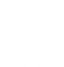 Vertex Esports Club