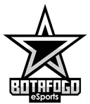 Botafogo Esports
