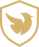 Reven Esports