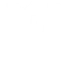 Team Whales