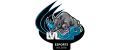 Level Up esports