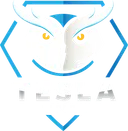 Tesla E-Sports