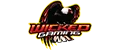 Wicked Gaming