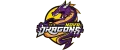 Nova Dragons