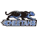 Cheetahs