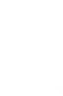 Shopify Rebellion