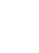 Rise Gaming