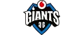 Vodafone Giants Academy
