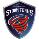 Storm Teams