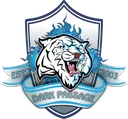 Dark Passage Academy