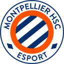 MHSC Esport