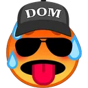 Domme Jongens