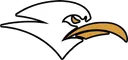 The Gulls Esports
