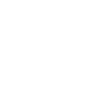FLY5