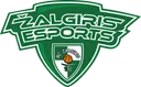 Žalgiris Esports