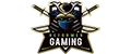 Reformed Gaming