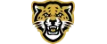 Wild Jaguars