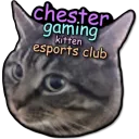Chester Gaming Kitten Esports Club