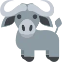 Young Buffalos